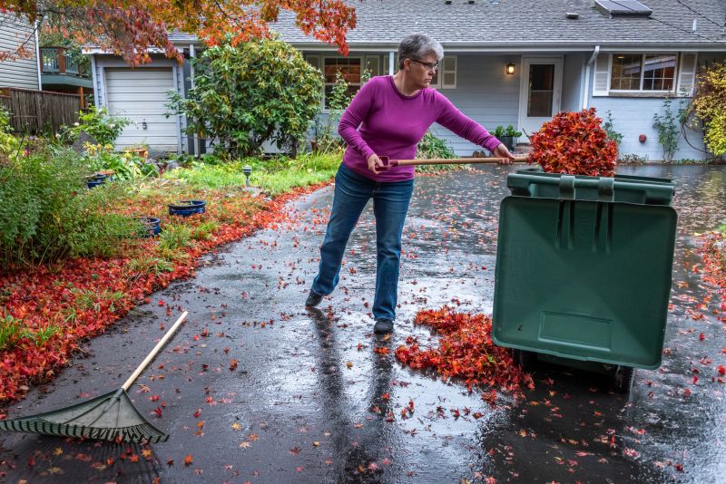 Lawn with Fallen Leaves