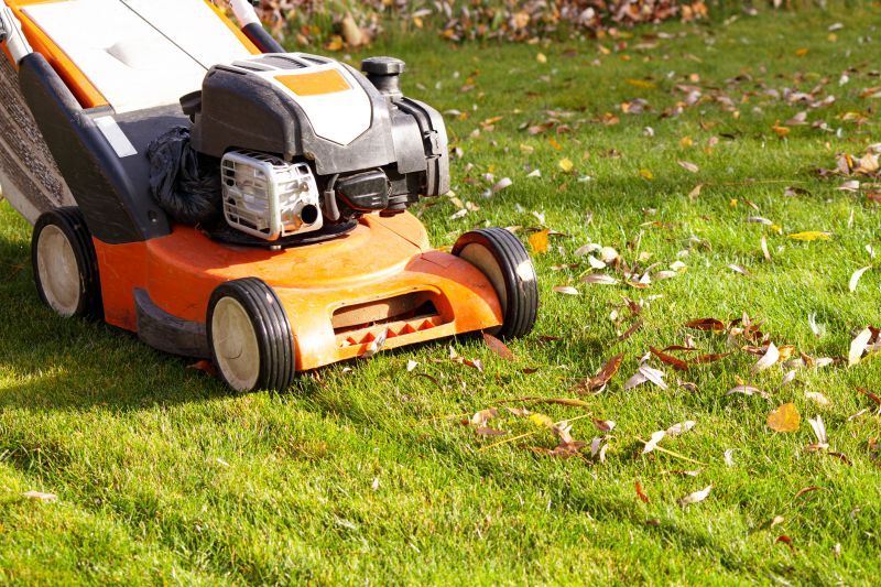 Lawn Equipment for Cleanup