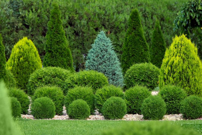 Shrubs with Decorative Shaping